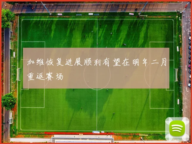 加维恢复进展顺利有望在明年二月重返赛场