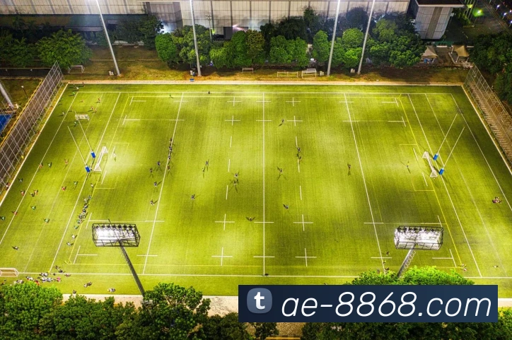 8868体育平台生态图